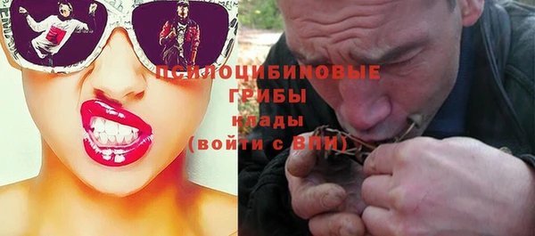PSILOCYBIN Алексин