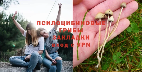 PSILOCYBIN Алексин