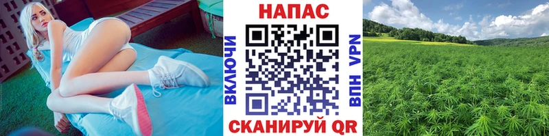дарнет шоп  Андреаполь  Конопля Bruce Banner 